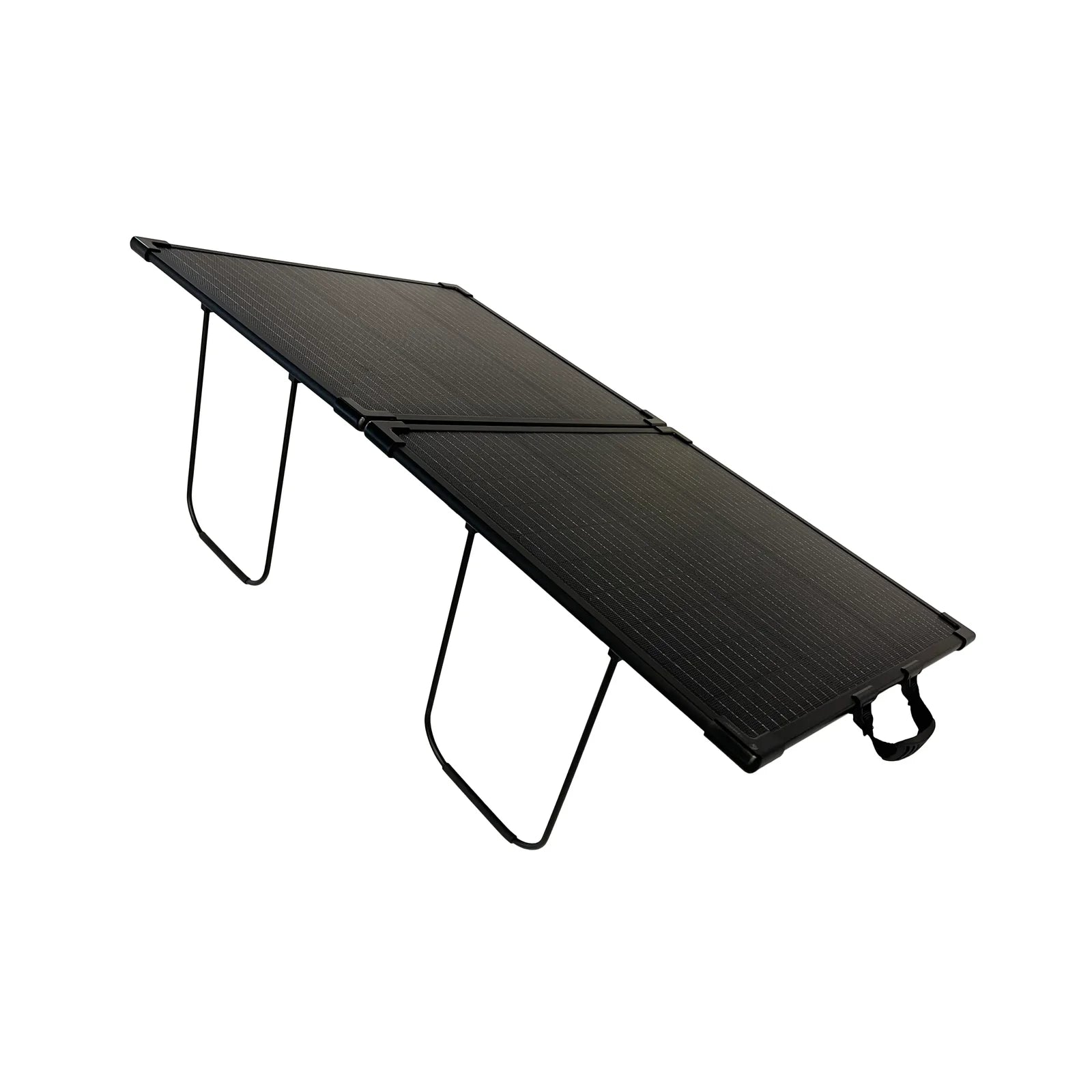 Lion Energy 100W 24V Portable Folding Solar Panel (High-Efficiency Monocrystalline Cells, Expandable Parallel Linking, Anti-Corrosive Double-Walled Aluminum Frame)