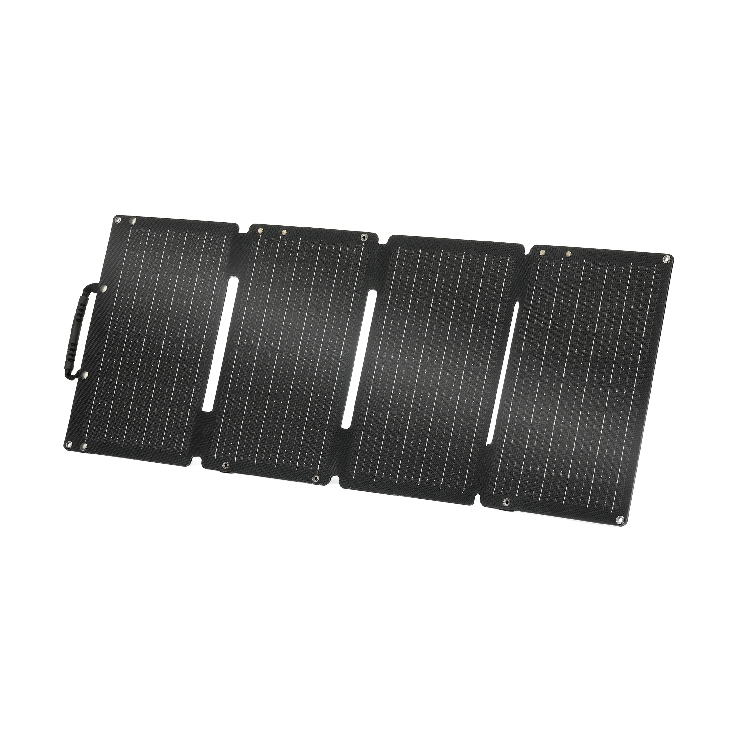 Lion 50W Solar Panel