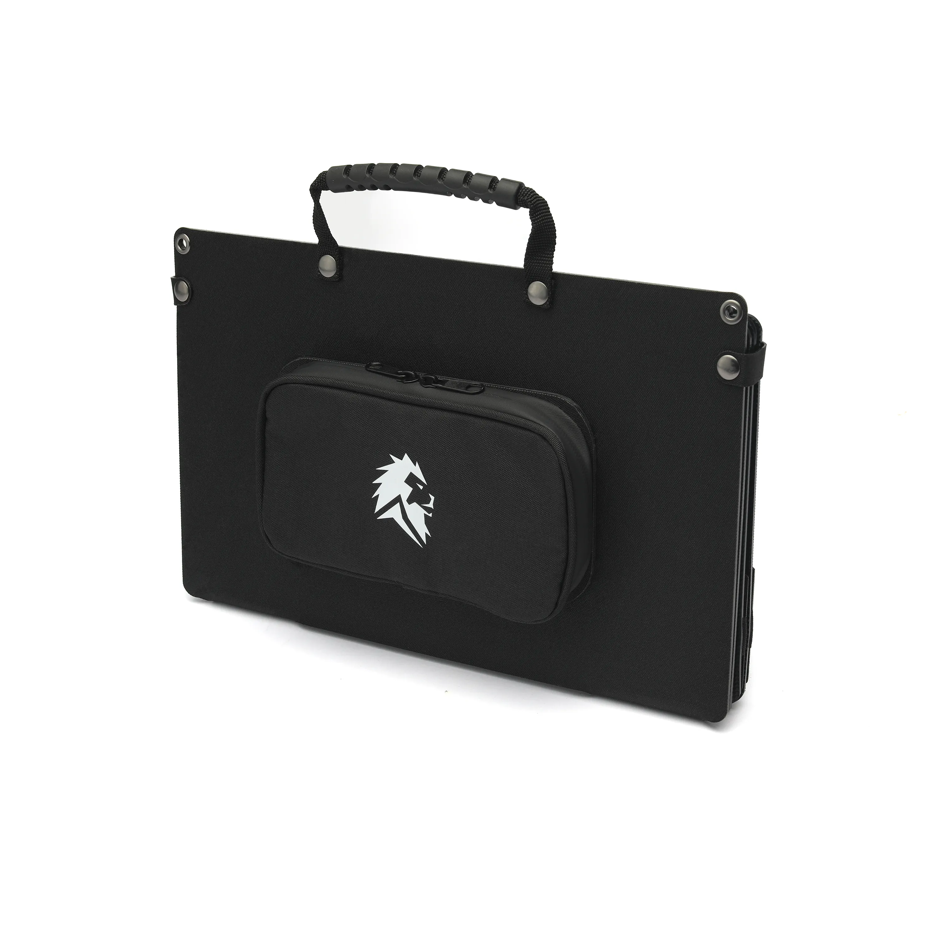 Lion 50W Solar Panel